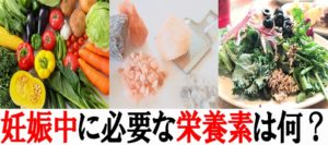 妊娠中に必要な栄養素を調べてみた