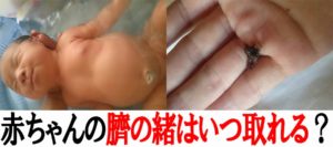 赤ちゃんの臍の緒はいつ取れるの?