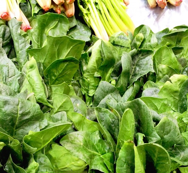 葉酸を含む野菜