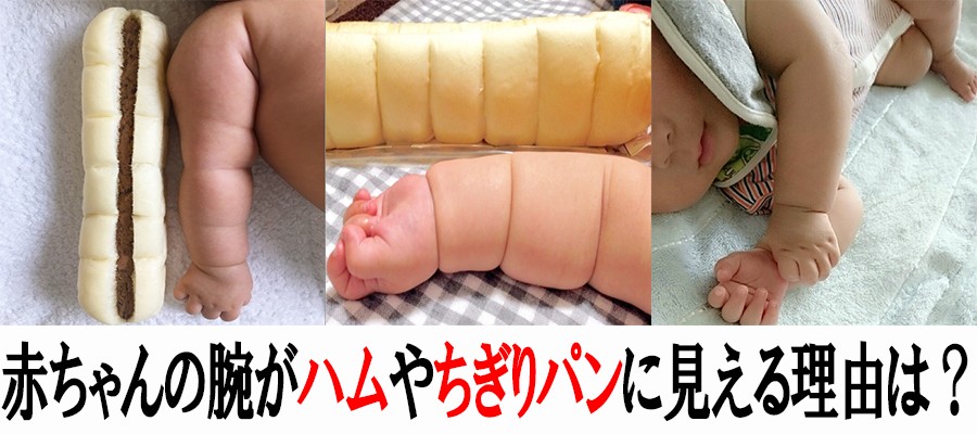 赤ちゃんの腕がボンレスハムやちぎりパンに見える件