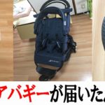 ネット通販で買ったエアバギーが届いて使おうと思ったら初期不良でタイヤがパンクしてた件