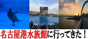 名古屋港水族館へ行ってきた!イルカショーも見れて赤ちゃん連れの家族で楽しめるぞ