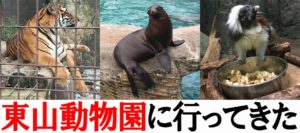 東山動物園に行ってきた！赤ちゃん連れで行くなら平日がおすすめ