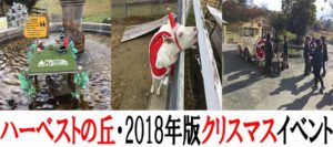 ハーベストの丘で2018年のクリスマスイベントを楽しんできた