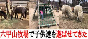 六甲山牧場で子供達を遊ばせてきた