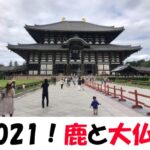 奈良公園2021！鹿せんべいと東大寺を楽しんできたぞ