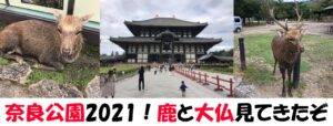 奈良公園2021!鹿せんべいと東大寺を楽しんできたぞ