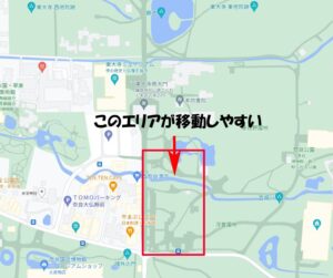 奈良公園で子連れで鹿を見やすい場所