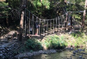 フィールドアスレチック4吊り橋の全体像