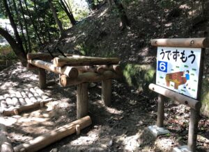 フィールドアスレチック6うでずもう