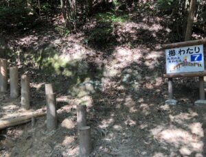 フィールドアスレチック7櫛わたり