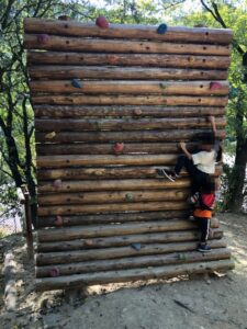 ウッドクライミングに挑戦