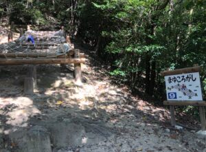 フィールドアスレチック9まゆころがし