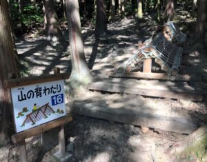 フィールドアスレチック16山の背わたり