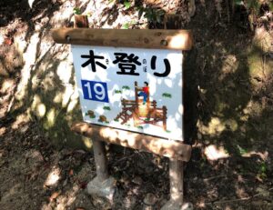 フィールドアスレチック19木登り