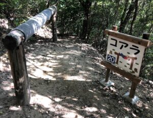 フィールドアスレチック20コアラ