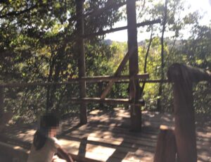 フィールドアスレチック19木登りの全体像