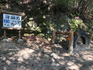 フィールドアスレチック23背筋力