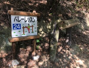 フィールドアスレチック24バーレッスン