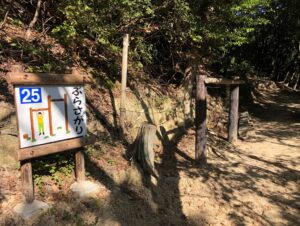 フィールドアスレチック25ぶらさがり