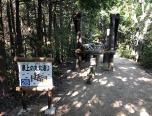 フィールドアスレチック28頂上の丸太渡り