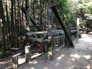 フィールドアスレチック28頂上の丸太渡りの全体像