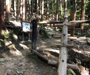 フィールドアスレチック31恋しい清十郎を追っての全体像