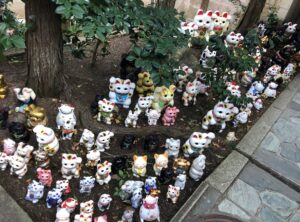 淡島神社のまねき猫