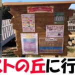 正月のハーベストの丘に行ってきた！猿回しも見れて大満足