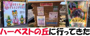 正月のハーベストの丘に行ってきた!猿回しも見れて大満足