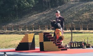 猿回しの階段ジャンプ